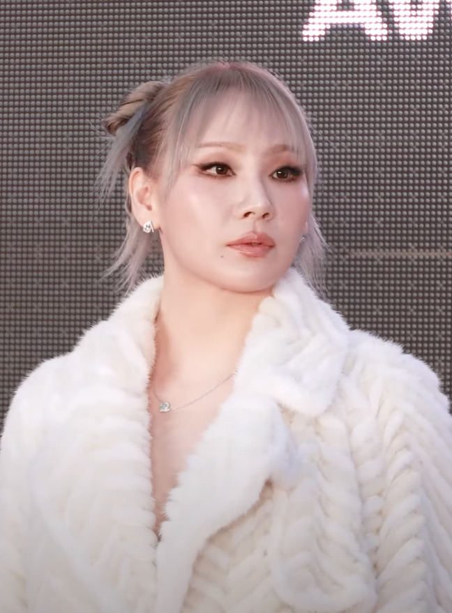 From 2NE1 to Solo: How CL Built Her $8 Million Net Worth